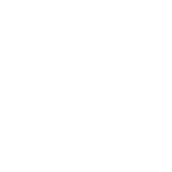 Ariston Approved